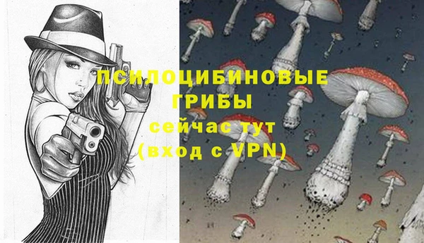 ALPHA-PVP Алексеевка
