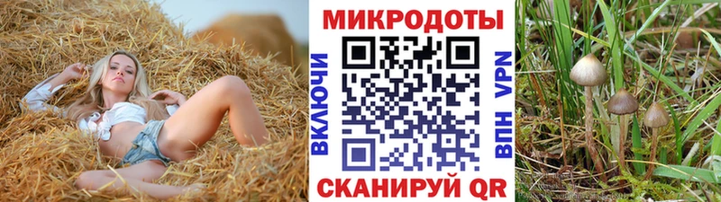 мега ТОР  Сунжа  Галлюциногенные грибы Psilocybine cubensis 